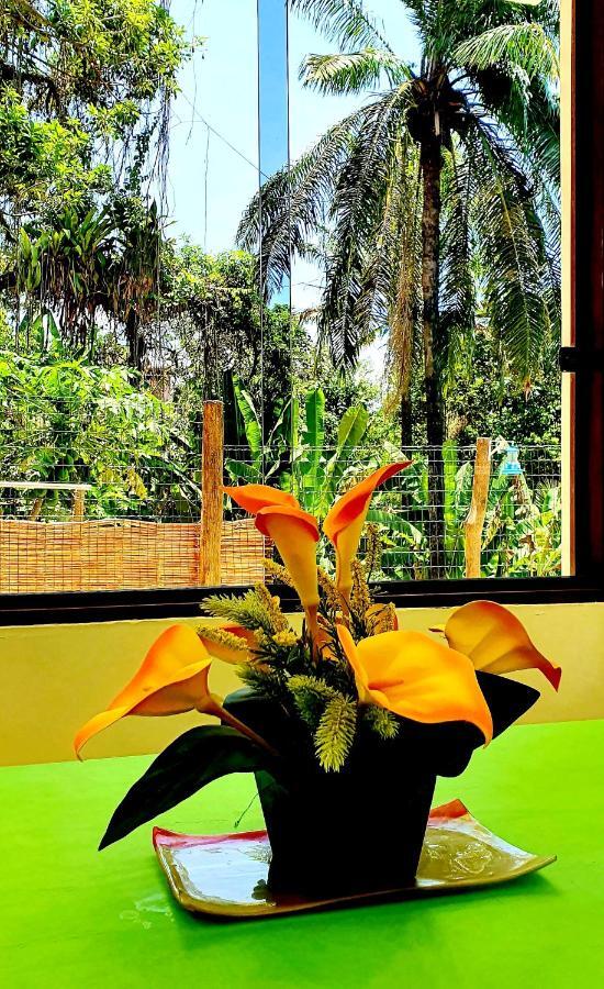 Bela Ipe Pousada Hostel Apart Morro de São Paulo Eksteriør billede